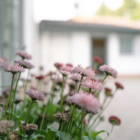 Bergschloesschen Edersee Appartamento *