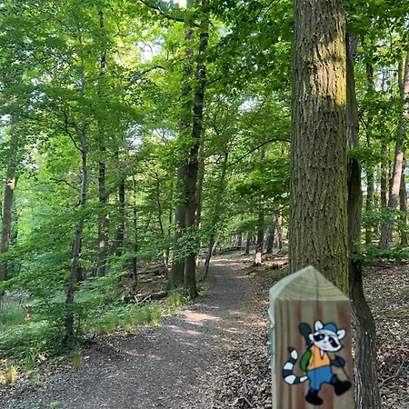 Bergschloesschen Edersee * Waldeck (Hessen)